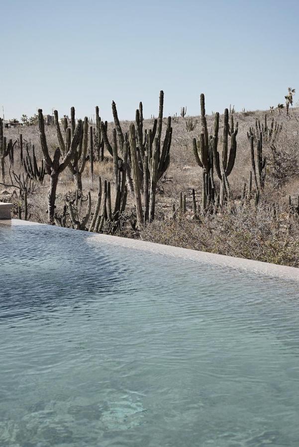 Hotel Desierto Azul à Todos Santos Extérieur photo