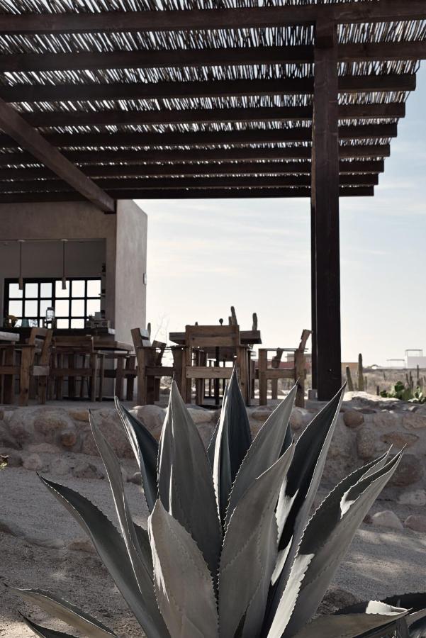 Hotel Desierto Azul à Todos Santos Extérieur photo